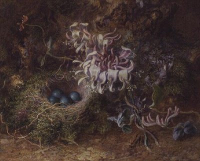 Kuş Yuvası ve Hanımeli by Jabez Bligh