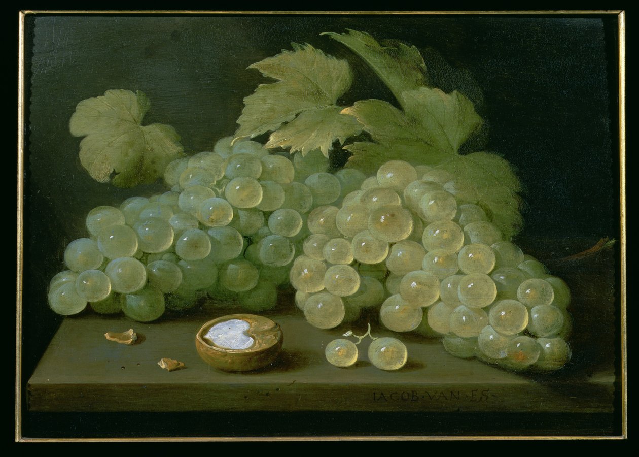 Yarım cevizli üzüm by Jacob  Foppens van Es