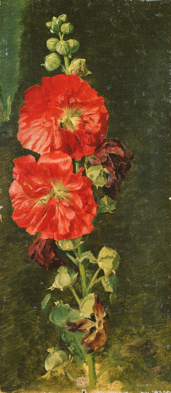 Bir Stockrose, 1827 by Jacob Gensler