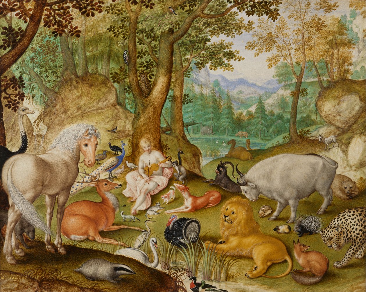 Hayvanları Büyüleyen Orpheus by Jacob Hoefnagel