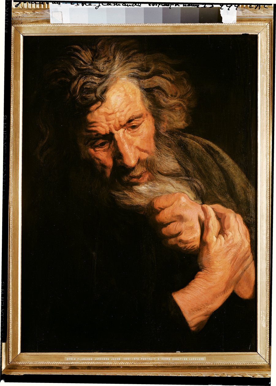 Bir Adamın Portresi by Jacob Jordaens
