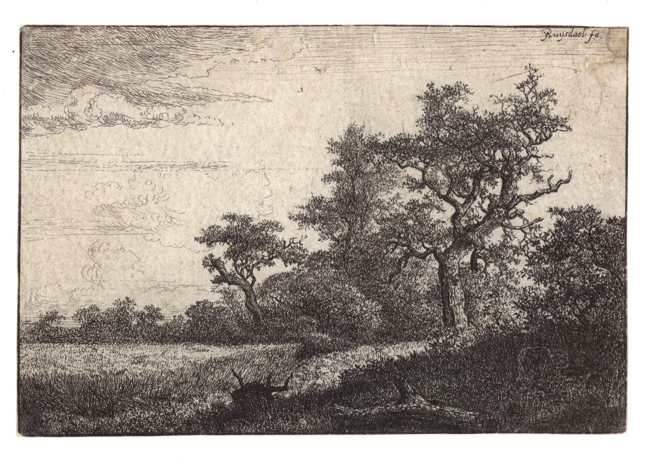 Ağaç ve tahıl tarlasının gravürü by Jacob van Ruisdael