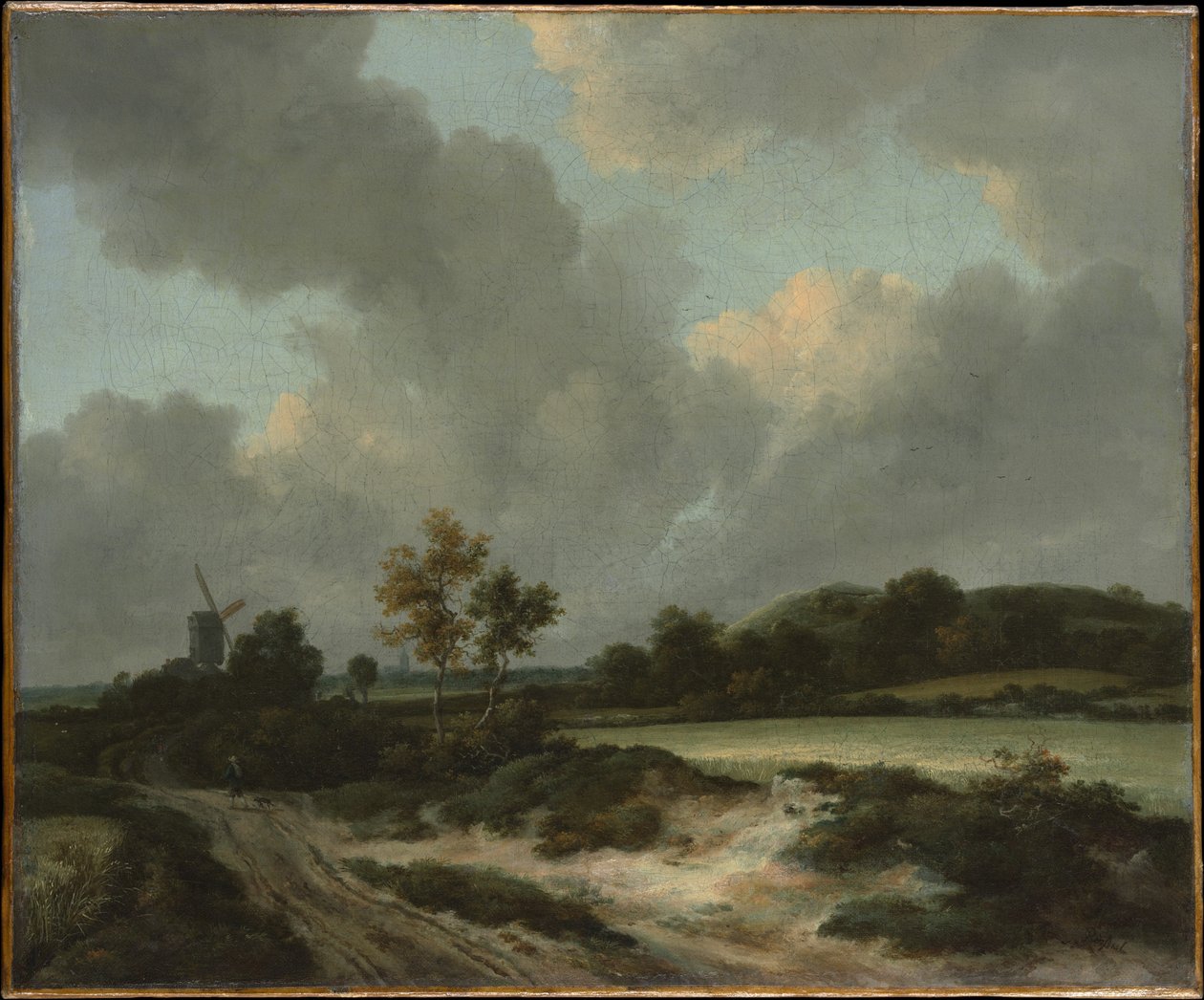 tahıl tarlaları by Jacob van Ruisdael