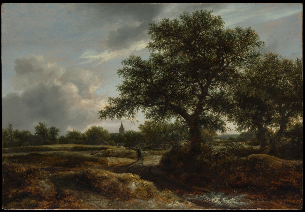 Uzakta Bir Köyle Manzara by Jacob van Ruisdael