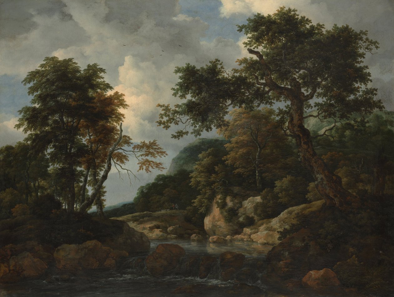 Orman Çayı by Jacob van Ruisdael