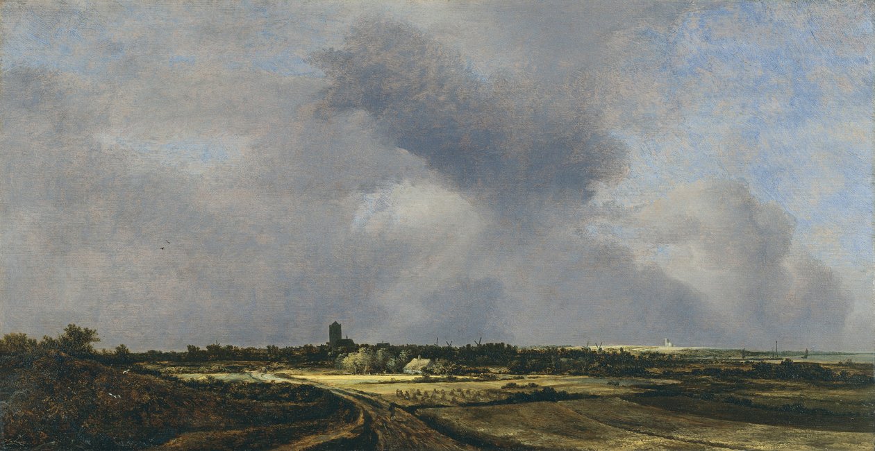 Naarden manzarası by Jacob van Ruisdael