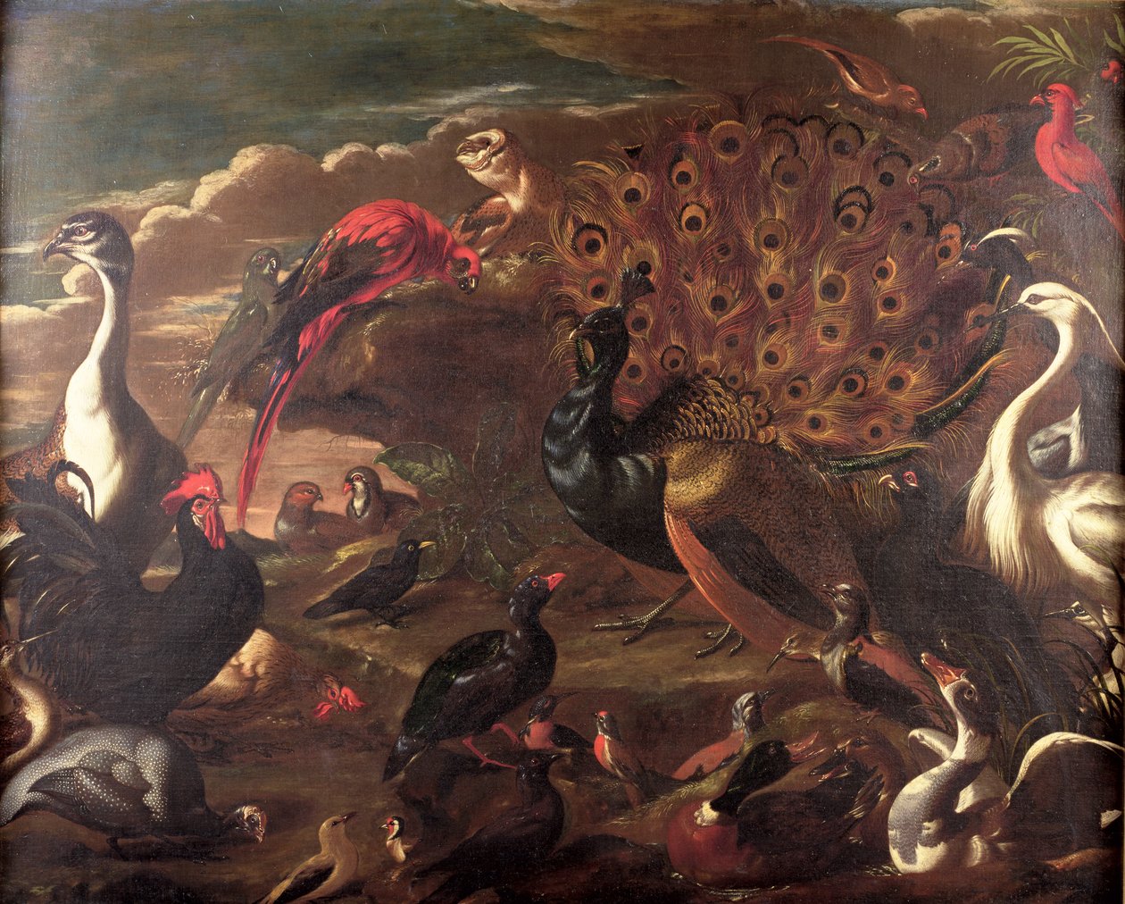 Kuşlar ve Canavarlar by Jacob van der Kerckhoven
