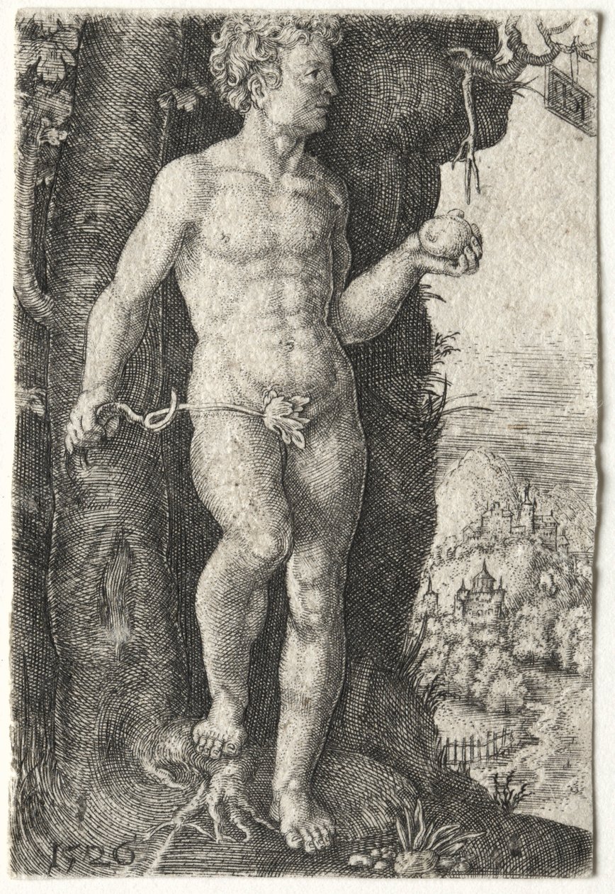 Adem, 1526. by Jacob Binck