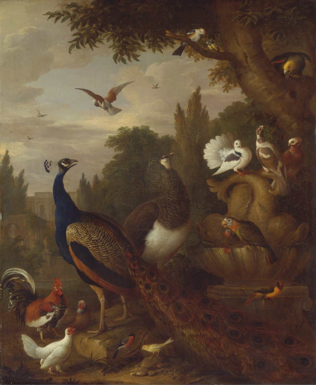 Bir parkta tavus kuşu, peahen, papağan, kanarya ve diğer kuşlar by Jacob Bogdani