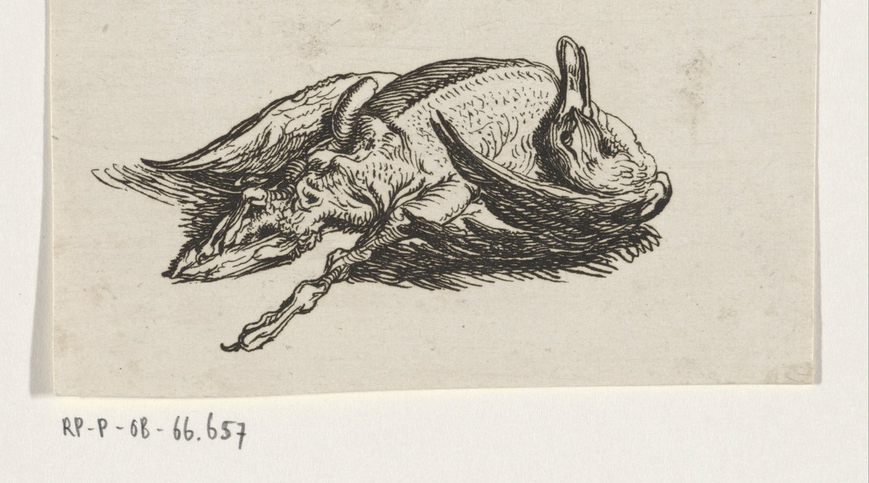 ölü ördek by Jacob Elias van Varelen