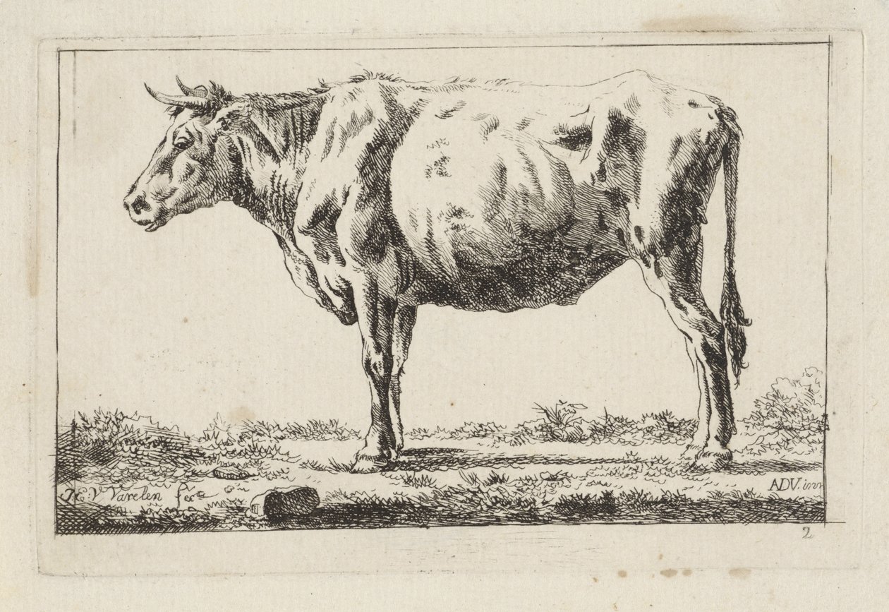 Ayakta inek, solda by Jacob Elias van Varelen