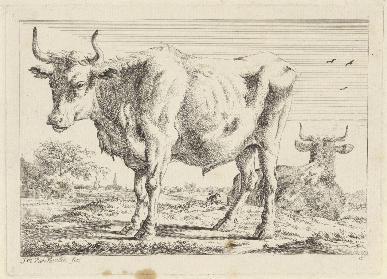 Ayakta ve Yalan Öküz Çeşitli ustaların çizimlerinden sonra altı baskı (seri başlığı) by Jacob Elias van Varelen