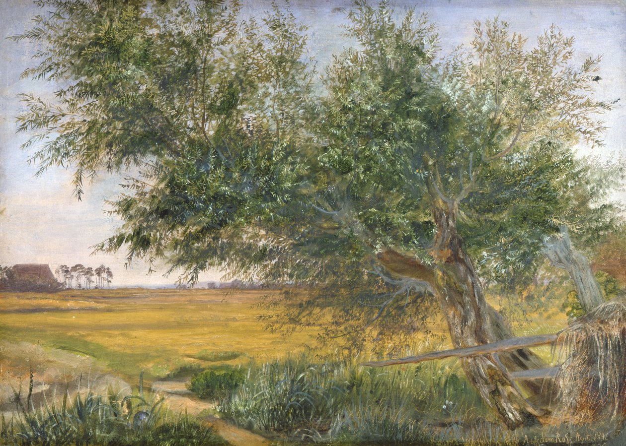 The Old Tree, 1842 (kart üzerine monte edilmiş kağıt üzerine yağlı boya) by Jacob Gensler