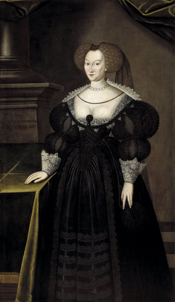 Marie Eleonora de Brandenburg, İsveç ve Finlandiya