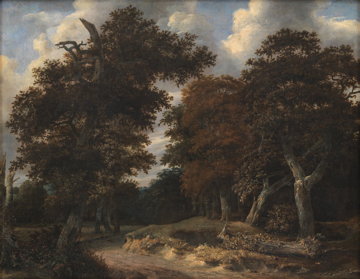 Meşe Ormanı boyunca yol by Jacob van Ruisdael