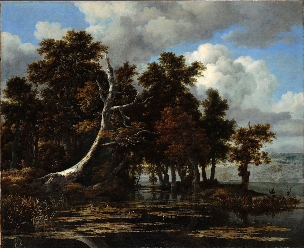 ""Meşe ve Nilüferli Gölde" Tablo Jacob Isaacksz van Ruisdael (1628/29-1682) Tuval üzerine yağlı boya Sönük 116.6x142 cm Staatliche Museen, Berlin by Jacob van Ruisdael