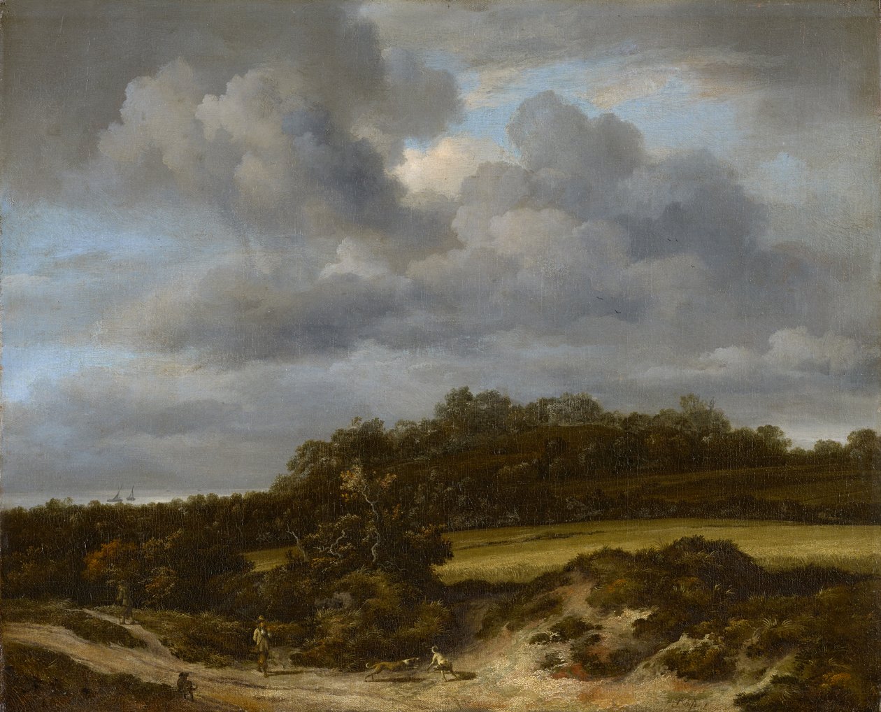 mısır tarlası, 1660 by Jacob van Ruisdael