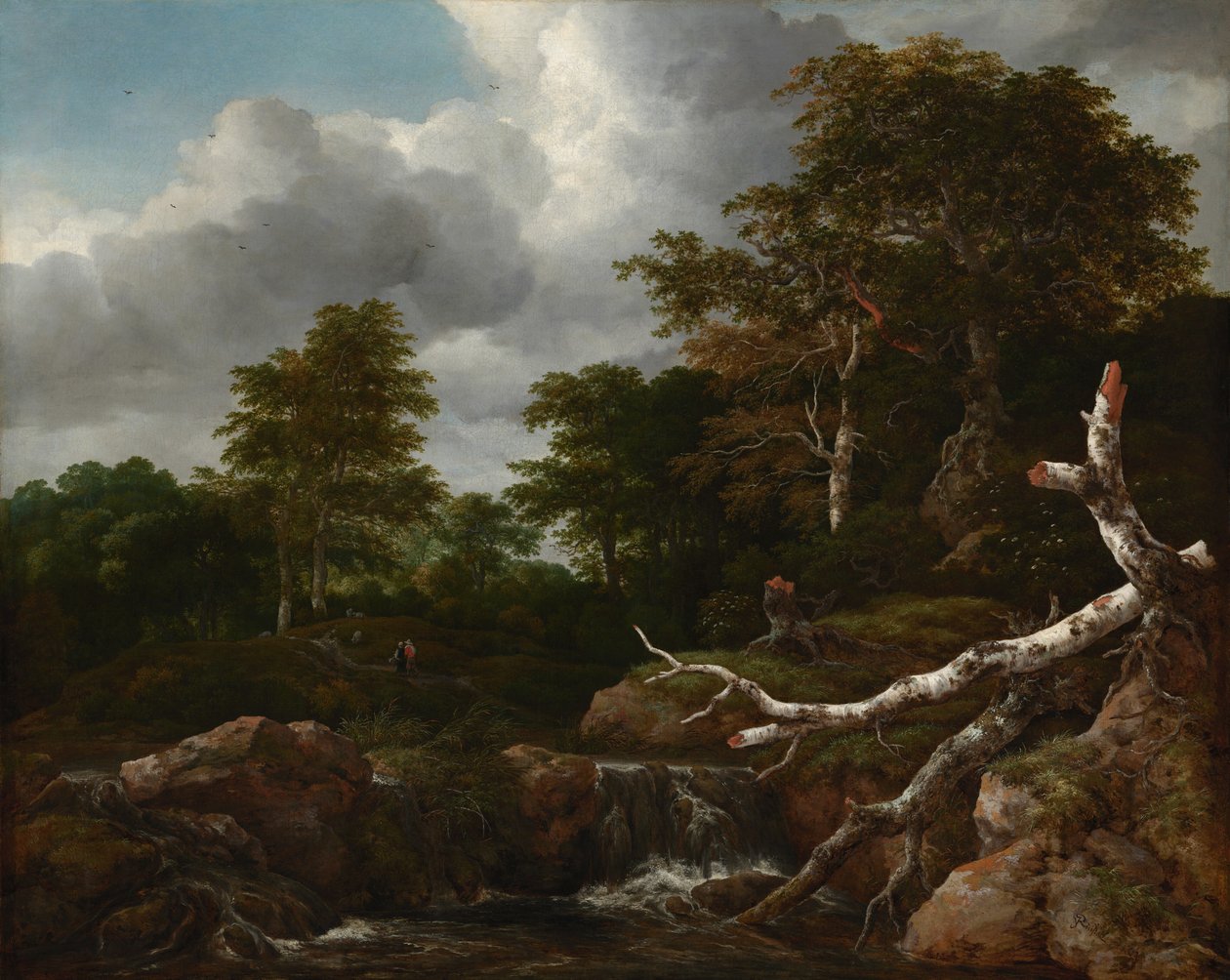 Orman Manzarası, c.1655 (tuval üzerine yağlı boya) by Jacob van Ruisdael