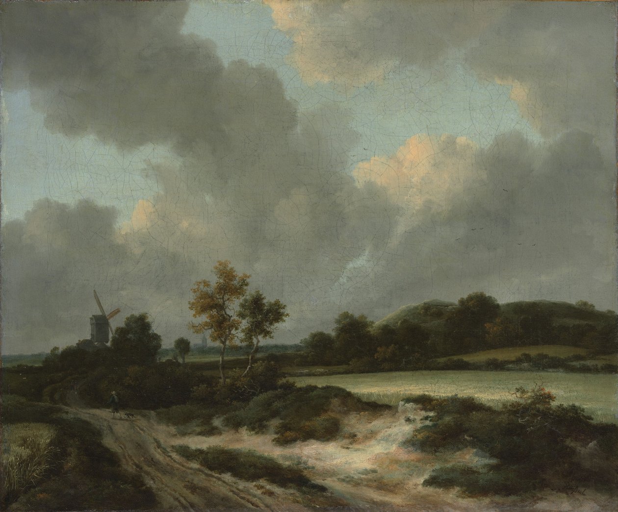 Grainfields, c.1660 (tuval üzerine yağlı boya) by Jacob van Ruisdael