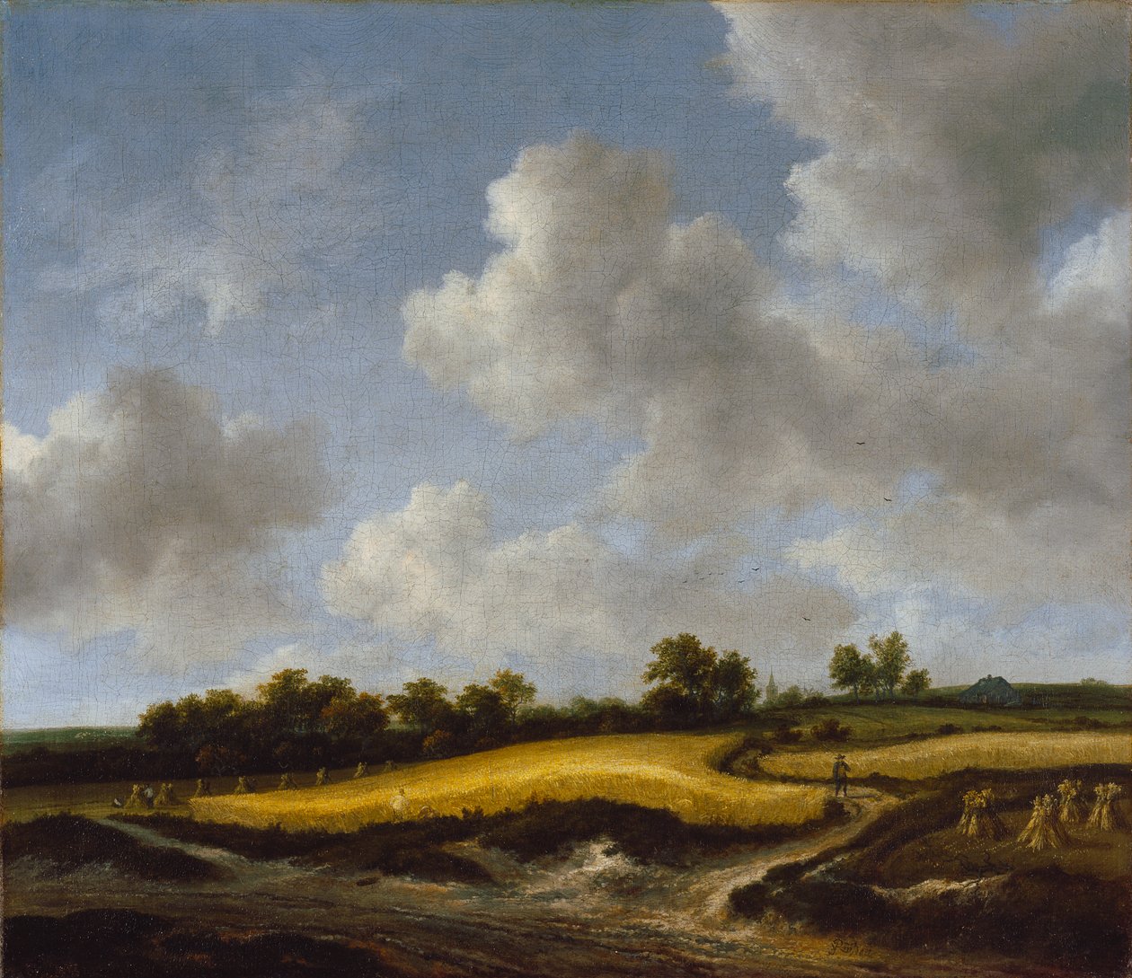 Buğday Tarlası ile Manzara, c.1660 by Jacob van Ruisdael
