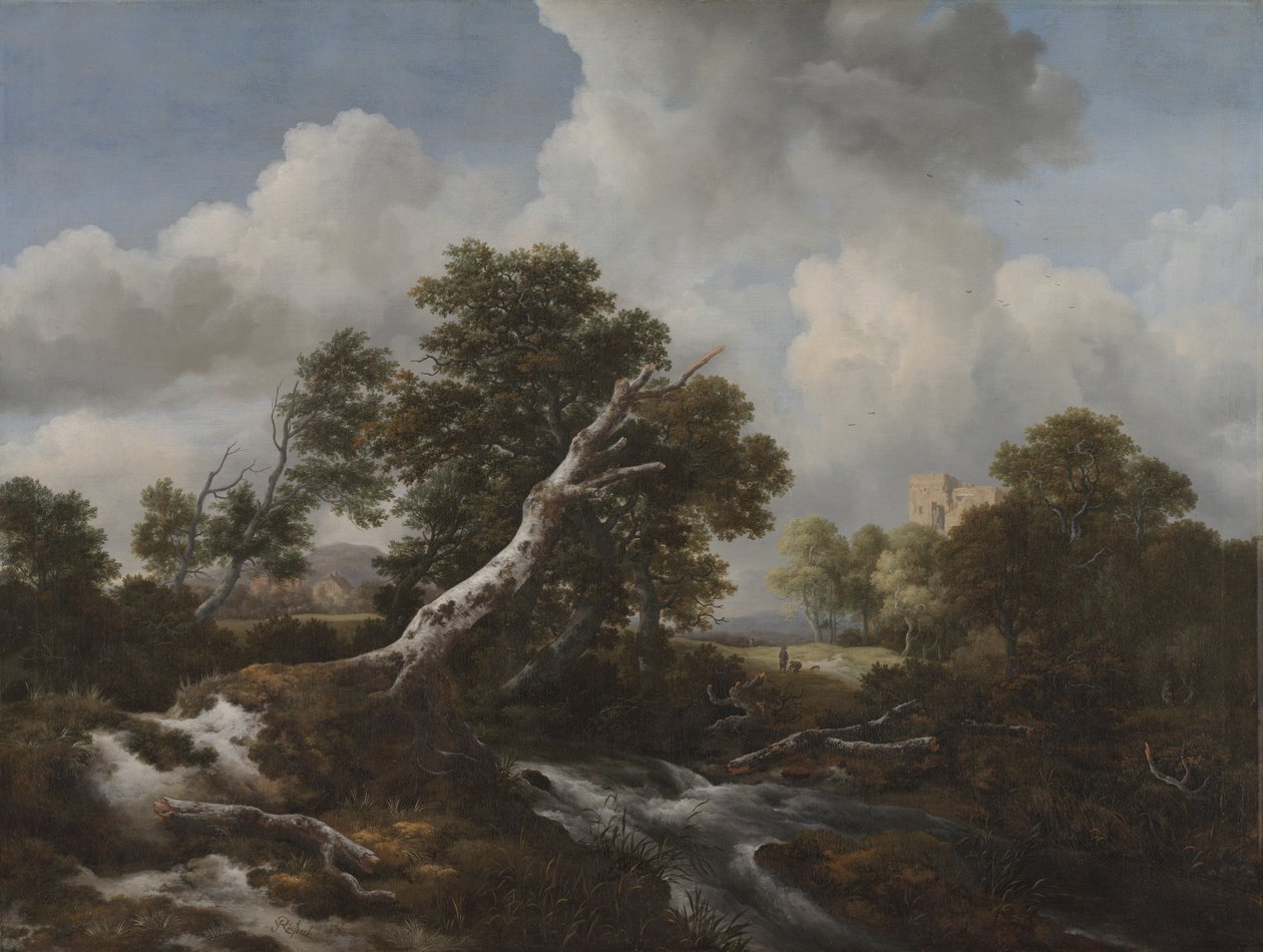 Ölü Kayın Ağacı ile Ormanlık Bir Peyzajda Alçak Şelale, c. 1660-70 by Jacob van Ruisdael