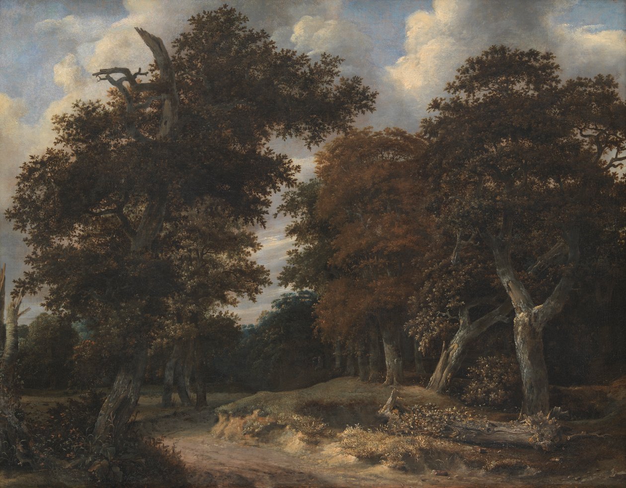 Meşe Ormanı boyunca yol by Jacob van Ruisdael