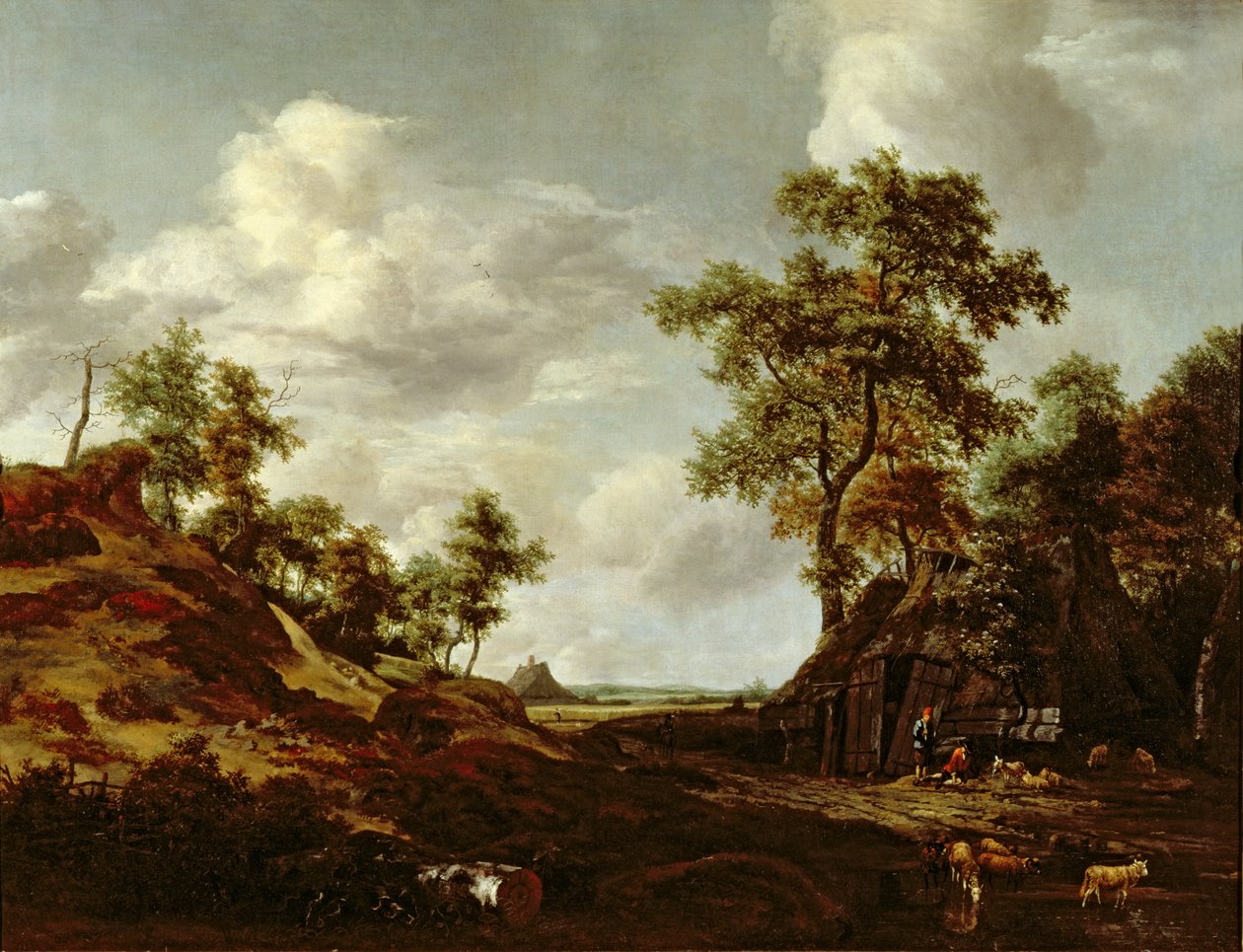 Bilinmeyen resim by Jacob van Ruisdael
