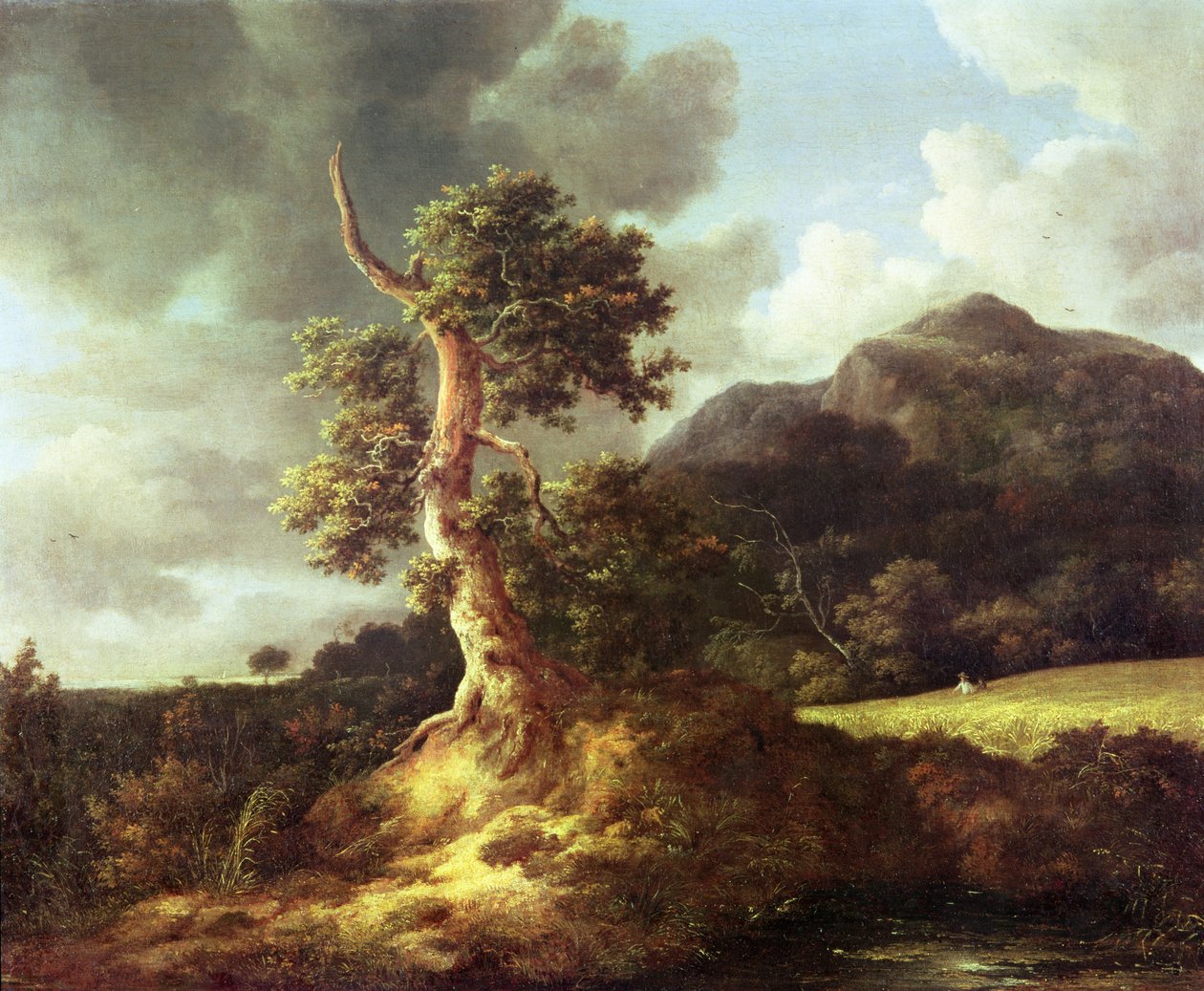 Bilinmeyen resim by Jacob van Ruisdael