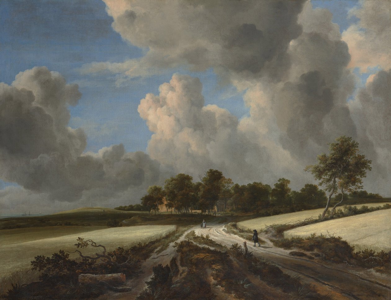 Buğday Tarlaları, c.1670 (tuval üzerine yağlı boya) by Jacob van Ruisdael