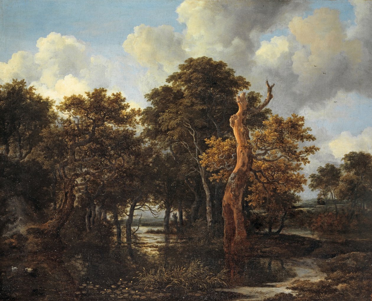 Ölü Ağaçlı Ahşap Bataklık Manzarası, c.1665 by Jacob van Ruisdael