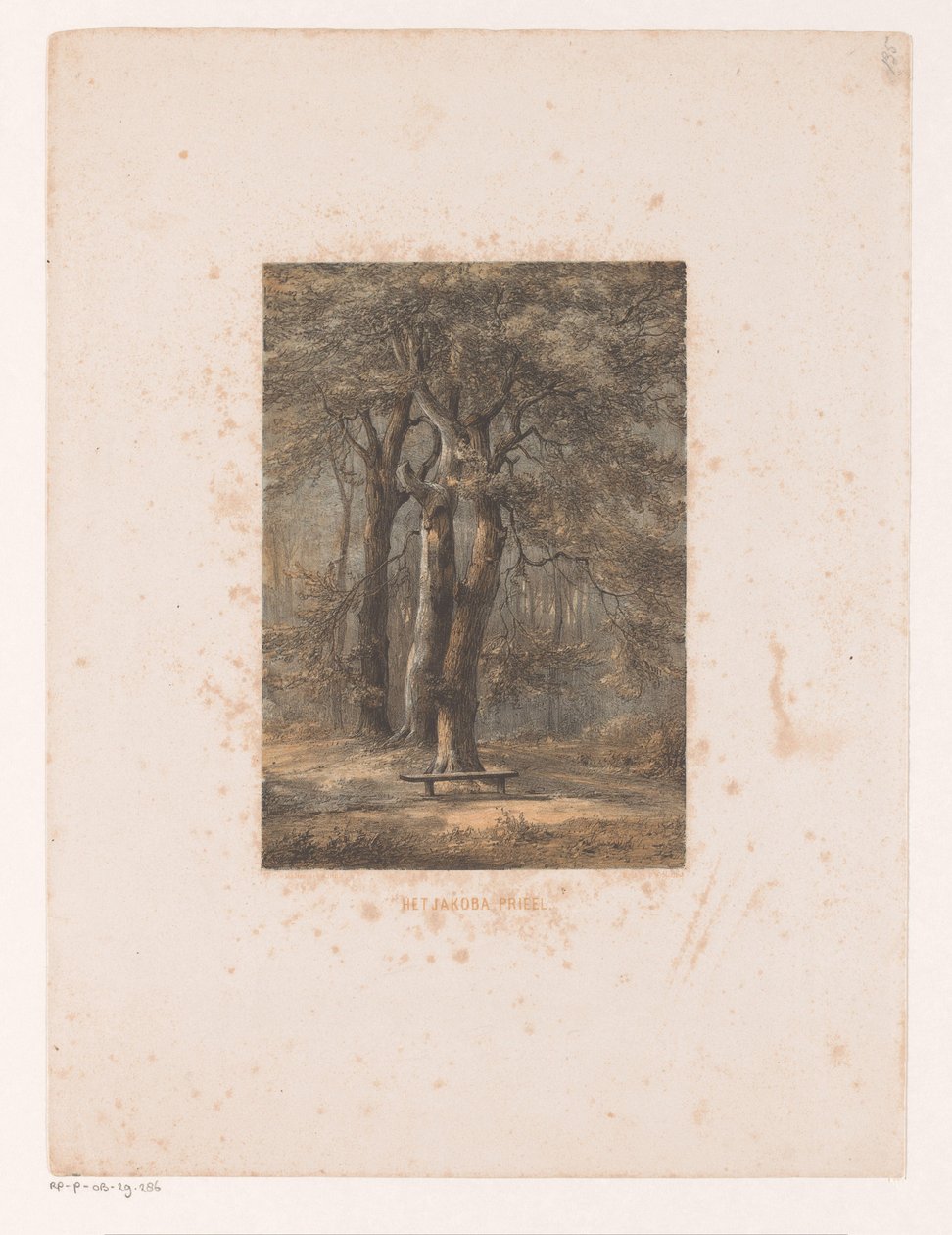 Jacoba çardak Jakoba çardağı (nesne üzerindeki başlık) by Jacob Jan van der Maaten