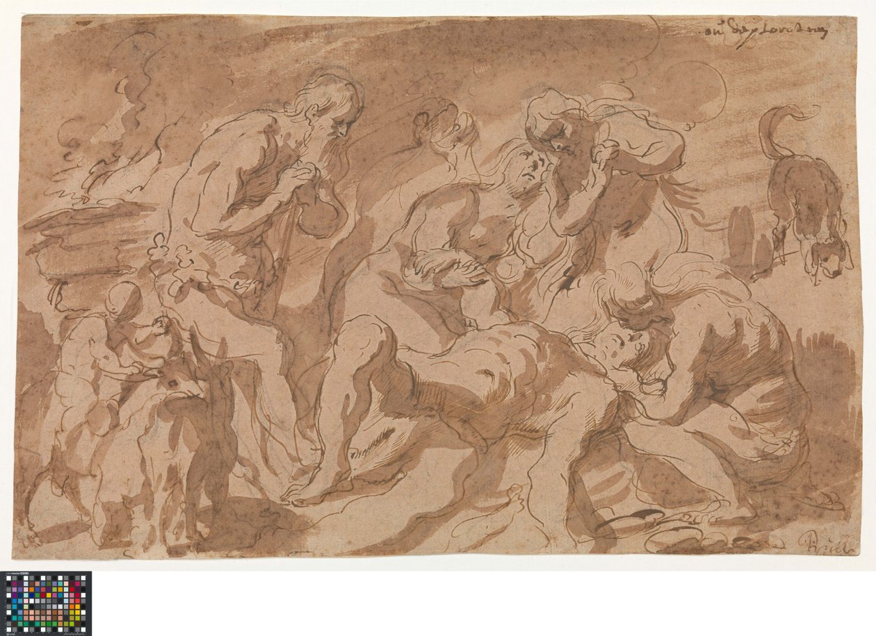  by Jacob Jordaens