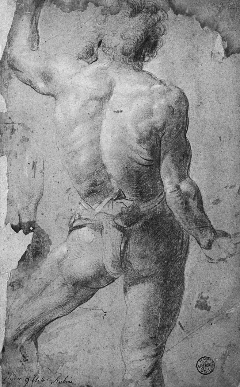 Ayakta duran erkek çıplak (kağıt üzerinde siyah tebeşir ve iyimser) by Jacob Jordaens