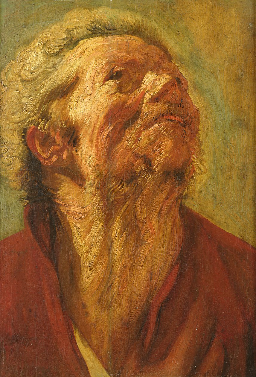 Bir Başın veya Bir Havarinin Başının İncelenmesi, c.1620 by Jacob Jordaens