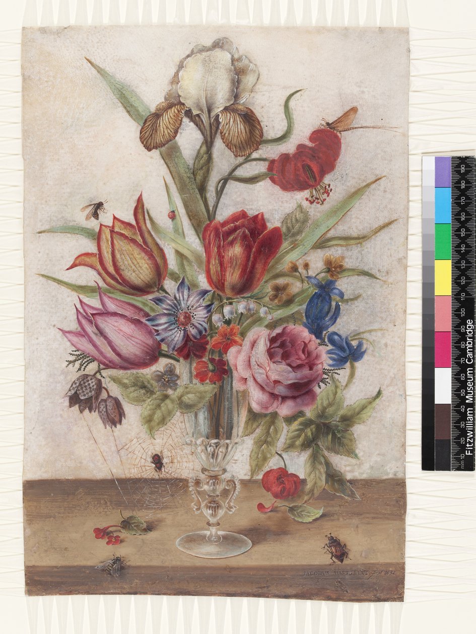 Laleler, güller, anemonlar, centiyana, fritillary, iris varigat, lilium chalcedonicum mayıs böceği, mayıs sineği, vadi zambağı ve çuha çiçeği içeren Venedik cam kadehi by Jacob Marrel