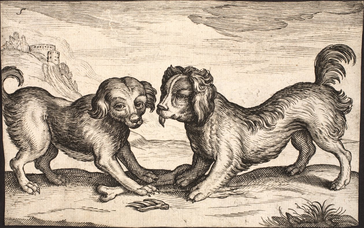 iki küçük köpek by Jacob Matham