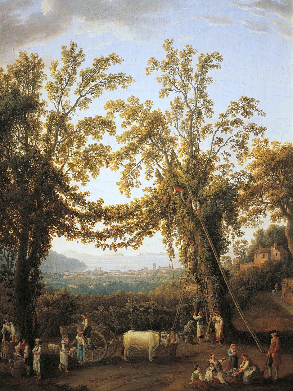 Sonbahar, Sorrento yakınlarında hasat (tuval üzerine yağlı boya) by Jacob Philippe Hackert