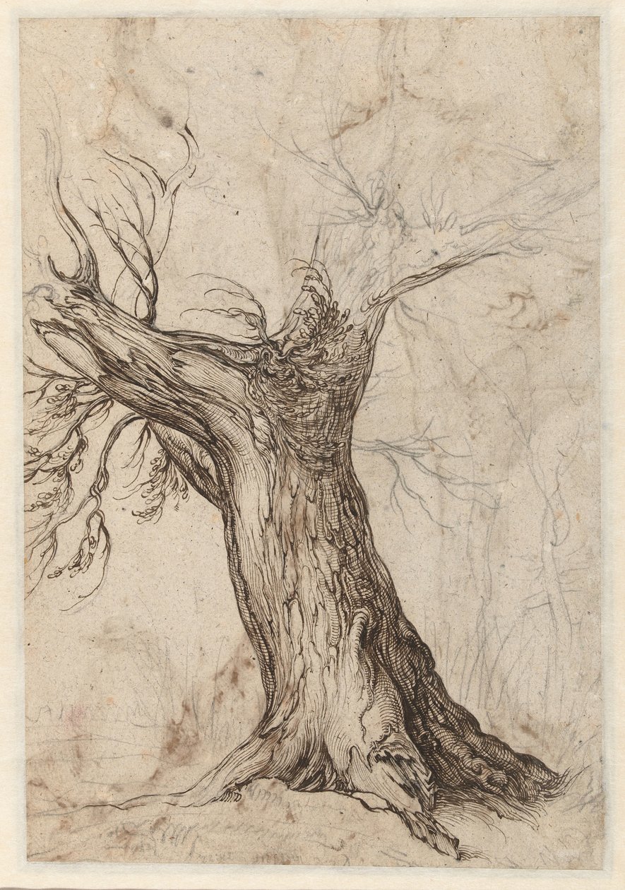 Etrafında bazı ağaçlar olan kestane ağacı by Jacob de Gheyn (II)