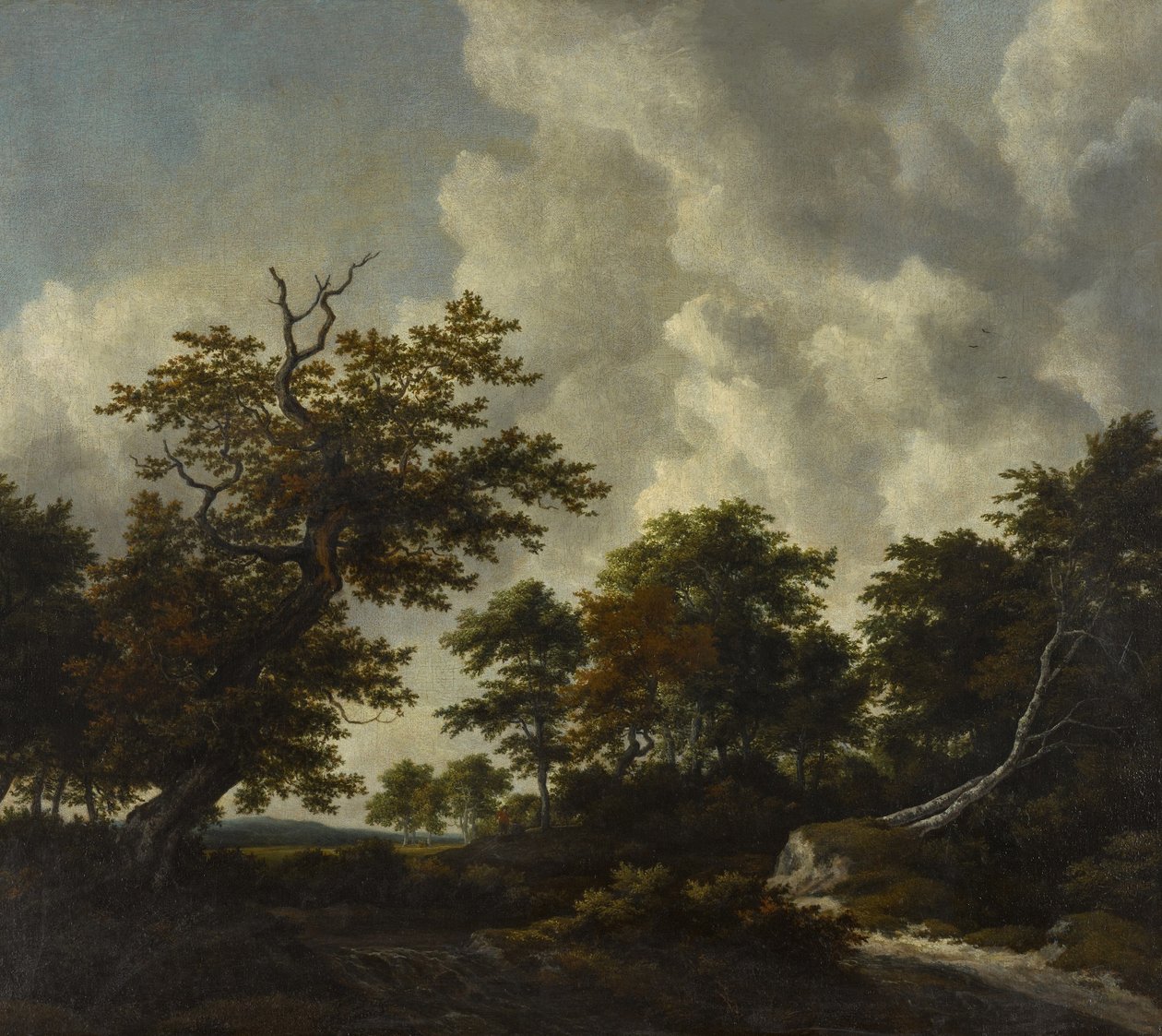  by Jacob van Ruisdael