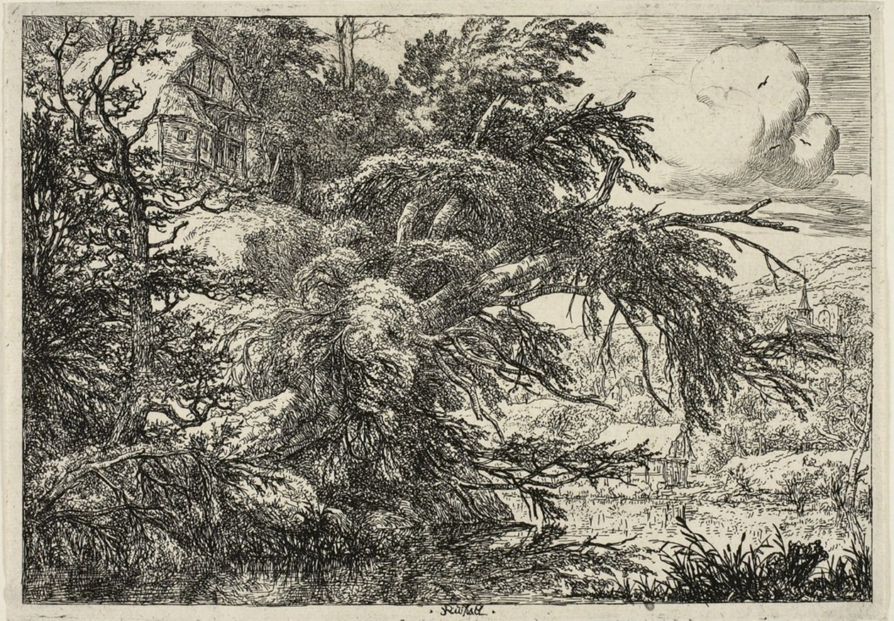 Bir Tepenin Üstünde Yazlık by Jacob van Ruisdael
