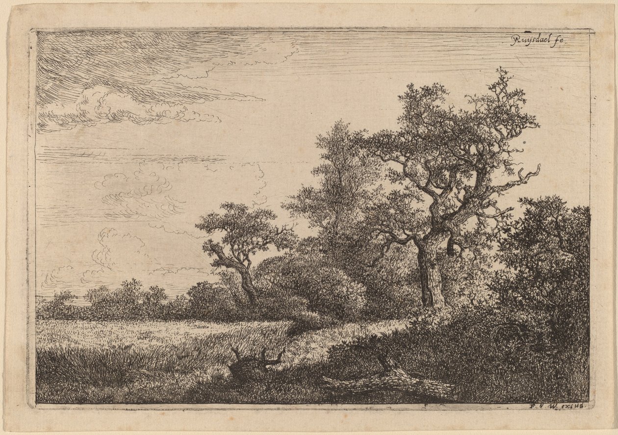 Bir Ağacın Kenarında Tahıl Tarlası (Mısır Tarlası) by Jacob van Ruisdael