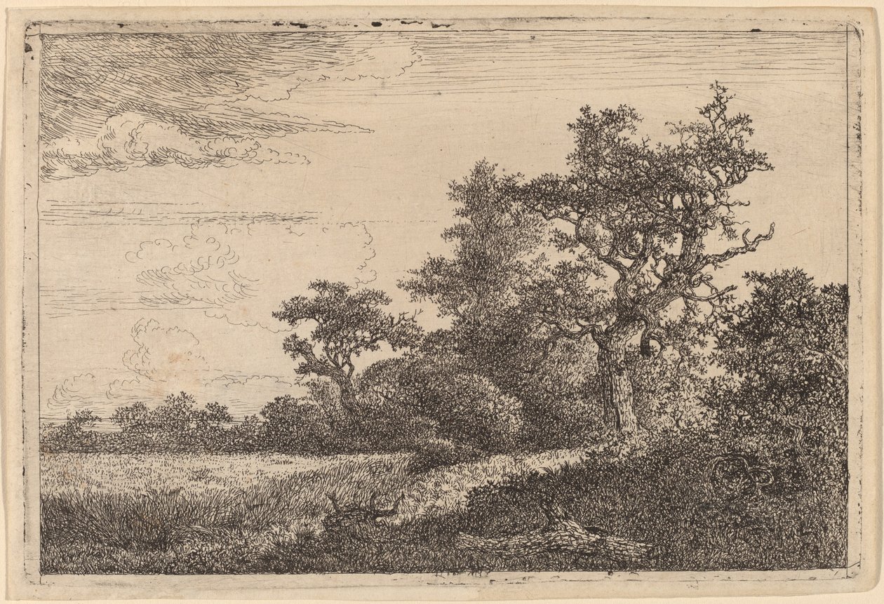 Bir Ağacın Kenarında Tahıl Tarlası (Mısır Tarlası) by Jacob van Ruisdael