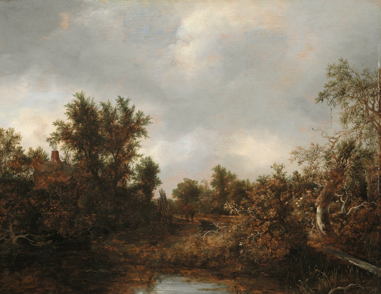  by Jacob van Ruisdael