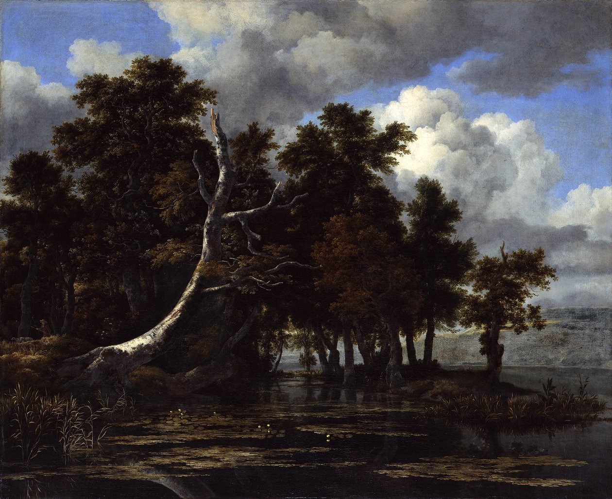  by Jacob van Ruisdael