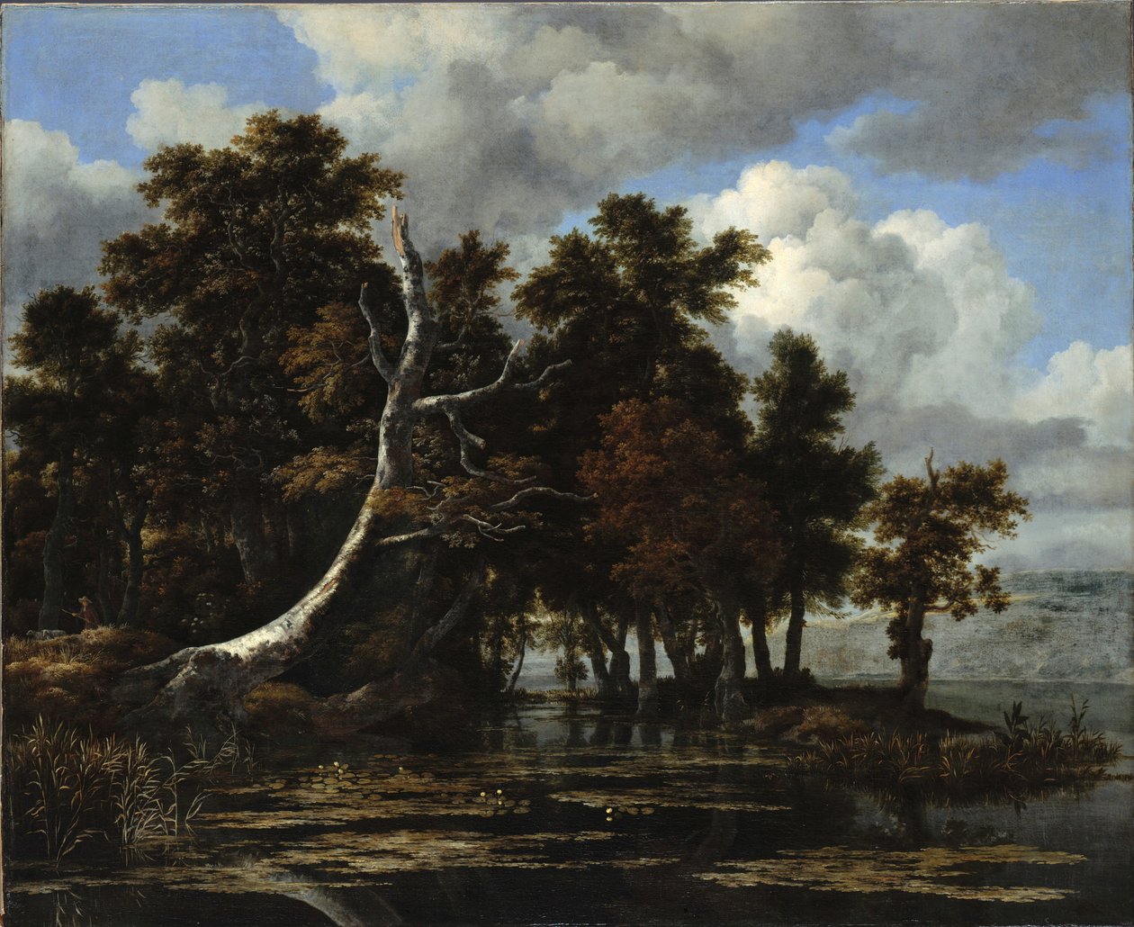 Nilüferler ile bir gölde Oaks by Jacob van Ruisdael