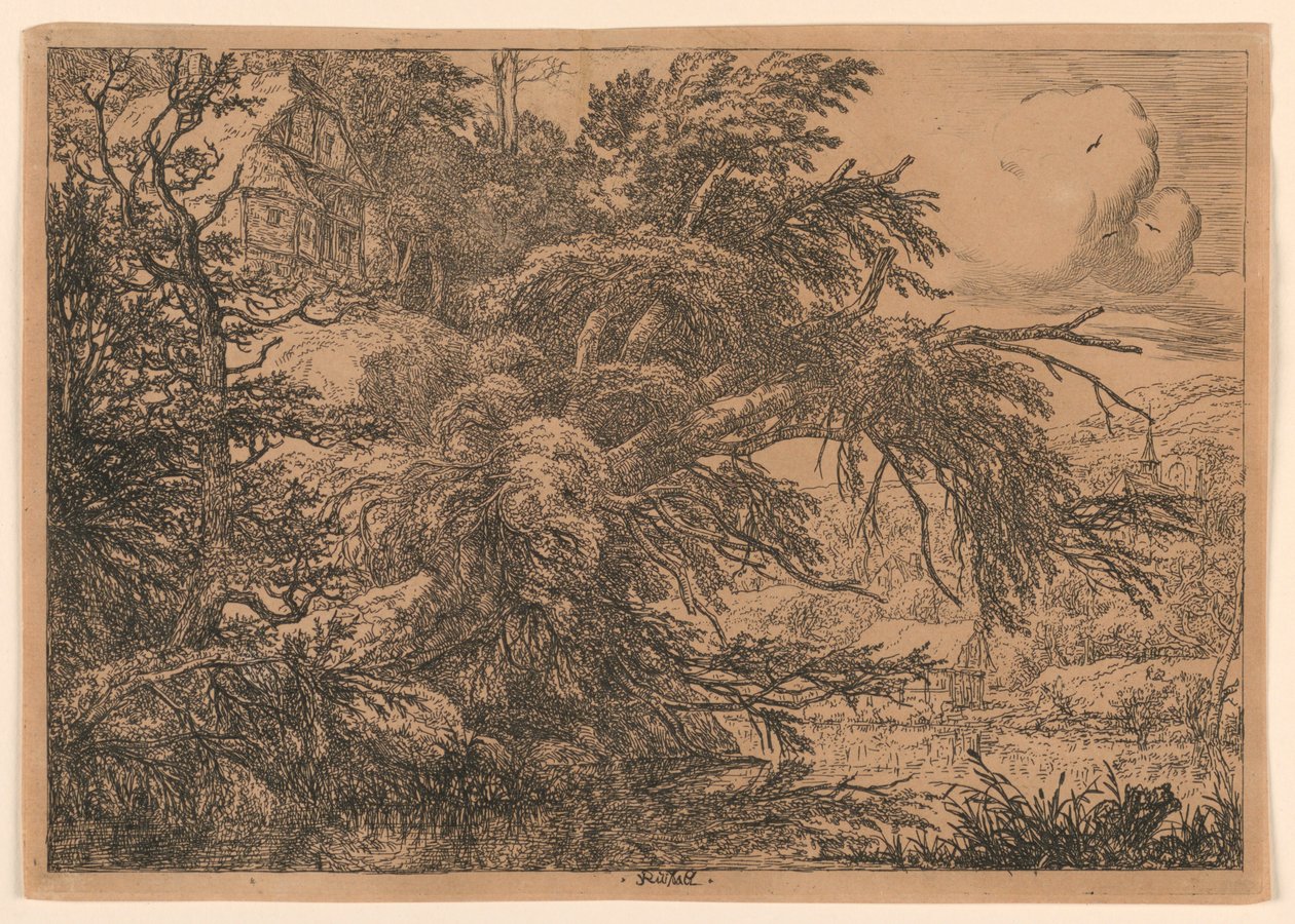 Tepedeki Sazdan Kulübe by Jacob van Ruisdael