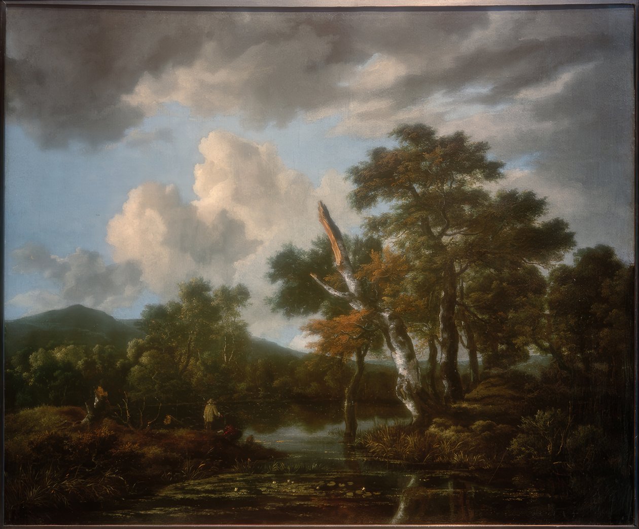Bir gölet ile orman manzarası by Jacob van Ruisdael