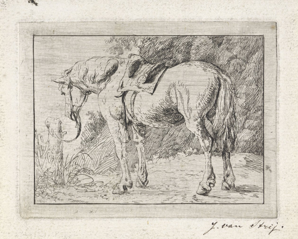 Bir direğe bağlı eyerli at by Jacob van Strij