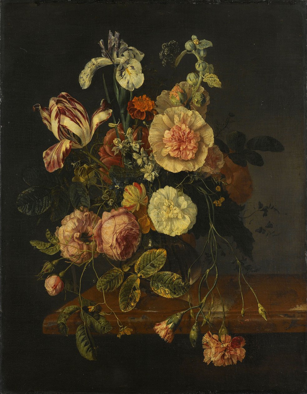  by Jacob van Walscapelle