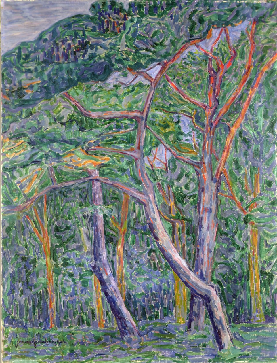 Çam ağaçları by Jacoba van Heemskerck